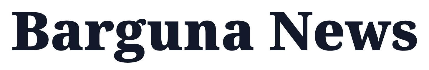 Barguna News logo