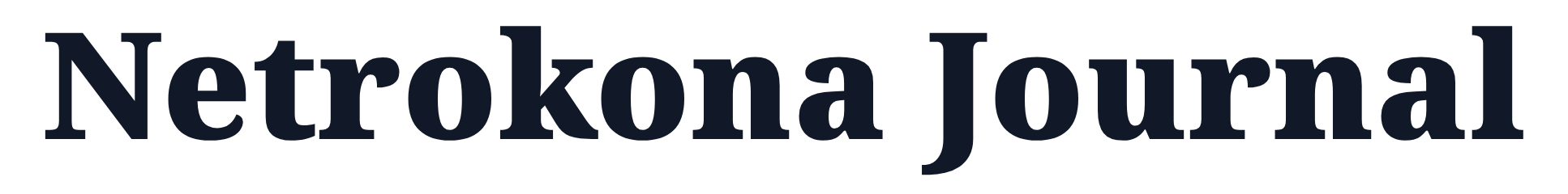 Netrokona Journal logo