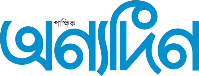 Anyadin logo
