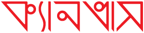 Canvas logo